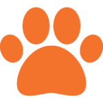 Why Do Dogs Get Stuck When They Mate? Facts & FAQs | Hepper Pet Resources Why Do Dogs Get Stuck When They Mate? Facts & FAQs | Hepper Pet Resources